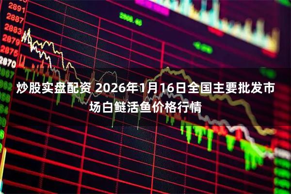 炒股实盘配资 2026年1月16日全国主要批发市场白鲢活鱼价格行情