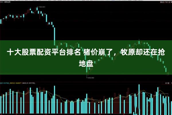 十大股票配资平台排名 猪价崩了，牧原却还在抢地盘