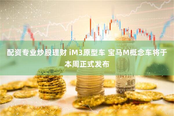 配资专业炒股理财 iM3原型车 宝马M概念车将于本周正式发布