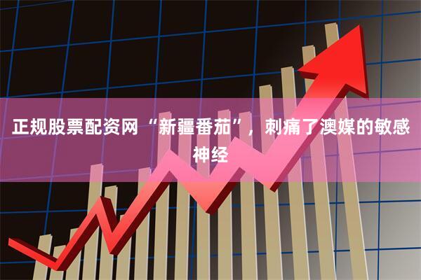 正规股票配资网 “新疆番茄”,刺痛了澳媒的敏感神经
